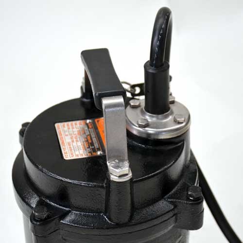 Bomba Para Lodos 1HP - Imagen 2